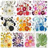 301Pcs Dried Pressed Flowers Leaves & Butterfly Stickers for Crafts,TrendCart Real Natural Dry Pressed Flowers for Resin Molds Nails Art Candle Making Phone Cases DIY Art Crafts Jewelry Making