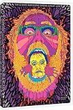 Tim & Eric Awesome Show, Great Job! Season 5