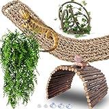 HERCOCCI Bearded Dragon Tank Accessories, Large Reptile Bridge Hammock Flexible - Jungle Climbing Vines and Leaves with Suction Cups Habitat Décor for Hiding& Climbing Snake Gecko Lizard Chameleon