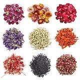 9 Bags Dried Flowers,100% Natural Dried Flowers Herbs Kit for Soap Making, DIY Candle Making,Bath - Include Rose Petals,Lavender,Don't Forget Me,Lilium,Jasmine,Rosebudsand More