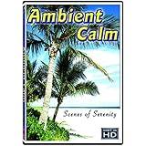 Ambient Calm: 14 Serene Scenes of Relaxation, Wellness, and Stress Relief
