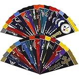 NFL Football 4 x 9 Mini Pennant Banner Flag 32 Team Complete Set Fan Cave Decor