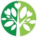 Plant Based Recipes