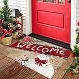 Cute Snowman Farmhouse Entrance Door Mat, Christmas Poinsettia Low Profile Tradition Christmas Decor Welcome Mat, Non-Slip Carpet Rugs Floor Mat Decorative for Home/Bathroom/Kitchen - 18" x 30"