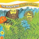 Endless Summer (2 LPs) [Vinyl]