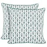 Ridhi Modern Farmhouse Pillow Covers Decorative Cotton Throw Pillow Covers Set of 2 Aquamarine Blue Cushion Covers for Boho Couch Sofa Bed Living Room Spring Home Decor 20x20
