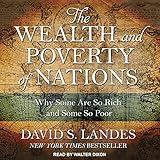 The Wealth and Poverty of Nations: Why Some Are So Rich and Some So Poor