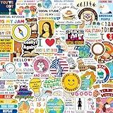 Yqskt 200 PCS Social Studies Stickers for Teachers, History Geography Economics Anthropology Vinyl Stickers for Laptop Water Bottle, Social Studies Classroom Decoration