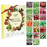 Garden Pack 20 Vegetable Seeds Varieties – High Yield Garden Seeds for Planting Vegetables – Over 8,000 Premium, Non-GMO Heirloom Seeds for Outdoor & Indoor Garden