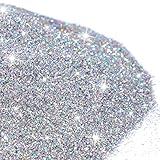 500g Glitter Paint Additive Silver Holographic Glitter Paint Additive Silver Holographic Metallic Sparkling Powder Mix with Acrylic for Interior Exterior Wall Ceiling Wood(Silver Holographic)