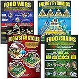McDonald Publishing MC-P059 Ecosystems Teaching Poster Set, 17 x 22 Inch