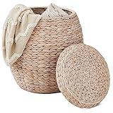 Best Choice Products Vintage Multipurpose Hyacinth Storage Basket, Plant Décor, Handwoven Organizer Tote for Bedroom, Living Room, Bathroom, w/Lid - Transparent White