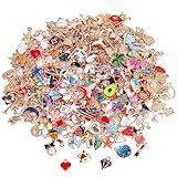 SANNIX 350Pcs Bracelet Charms Jewelry Making Charms Assorted Gold Plated Enamel Pendants for DIY Necklace Bracelet Earring Craft Supplies