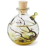 Shrimp Bubble Glass Self-Sustaining Ecosystem