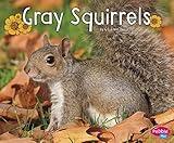 Gray Squirrels (Woodland Wildlife)