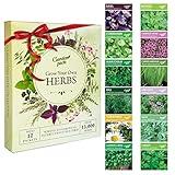 Grow Your Own Herbs Garden Kit - 12 Herb Seeds Variety Pack - Basil Seeds, Mint Seeds, Rosemary Seeds, Oregano Seeds, Parsley Seeds & More Packets in a Box with Herb Seeds Manual by Garden Pack