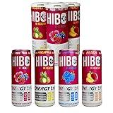 All Natural Zero Sugar HIBO Energy Drink, "Customer Favorites" 12 FL OZ (Pack of 4) - Gut Healthy Fiber - Sugar Free - Preservative Free - Natural Energy Drink - Key Electrolytes Antioxidants & Vitamins - Organic Caffeine - 10 Calories