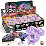 Byncceh Mineral Mining Kit Rock Mining Kit Gem Dig Kit - Dig up 12 Rock & Mineral Collection Gemstones & Crystals Dig Kit for Kids Gemology Mining Gift Rocks Minerals, Excavation Toys for Boys Girls