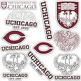 Desert Cactus The University of Chicago Sticker UChicago Maroons Sticker Vinyl Decals Laptop Water Bottle Car Scrapbook Sheet T2 (Type 2)