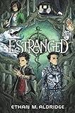 Estranged: A Magical Graphic Novel Adventure of Swapped Identities, Fae Powers, and Dangerous Quests