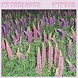 Winded (PINK VINYL)
