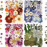 nisetten 110+PCS Pressed Flowers for Resin molds Real Dried Flower Leaves for Resin Jewelry Making Dry Flowers for Scrapbooking Crafts DIY Soap Candles Making Nails Décor (Colorful-C)