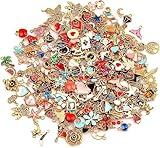 SANNIX 220Pcs Bracelet Charms Assorted Gold Plated Enamel Charms Necklace Bracelet Earrings Charm for DIY Jewelry Making Crafts