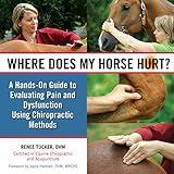 Where Does My Horse Hurt?: A Hands-On Guide to Evaluating Pain and Dysfunction Using Chiropractic Methods