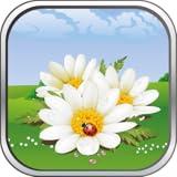 Garden Journey: Your Adventure in Flower Garden