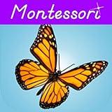 Animal Kingdom Invertebrates - Montessori Zoology