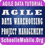 Agile Data WareHousing Project Management