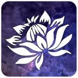 Spiritual Coaching Meditations