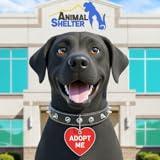 Pet Rescue World Virtual Animal Care Shelter Home Simulator Caretaker Life Games