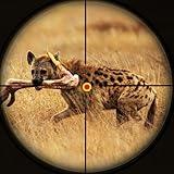 Animals Hunter in Safari Desert : Animals Hunting Games 2024 - New Games Sniper Shooting