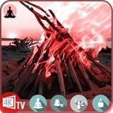 Coastal Calm: Bonfire Beach Screensaver with Soothing Sounds for Fire TV