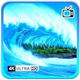 Coastal Calm - Soothing Ocean Majestic Waves Crashing on Beach Screensavers