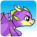 Dragon Fly Academy