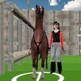 Horse Racing- Equestrian Sports Horse Jumping