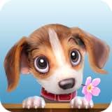 Pet Island - Animal Shelter