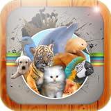 Animal Sounds