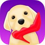 Pet Monitor VIGI