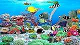 Jewels of the Red Sea [Download]