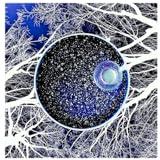 Amazing Science Images You Must See