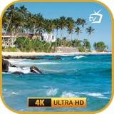 Cool Ocean Breeze – Summer Chill Screensaver with Relaxing Beach Sounds for Fire TV