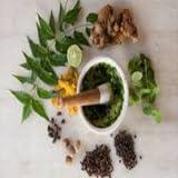 Siddha Vaithiya Agarathi - Siddha Medical Dictionary Ebook