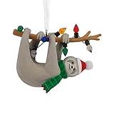 Hallmark Festive Sloth on Tree Branch Christmas Ornament