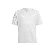 adidas Kids Boys Tiro23 Competition V Neck Short Sleeve Jersey Soccer Cleats Breathable - Grey - Size M