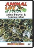 Animal Behavior & Communication