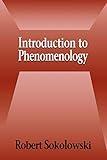 Introduction to Phenomenology