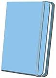 Sky Blue Satin Journal